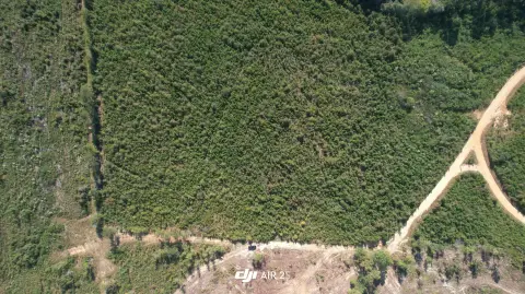 Edgefield, SC Land Tract