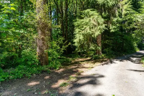 Recreation Land with Water Access