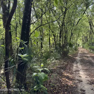 Wooded Land in Interlachen, FL