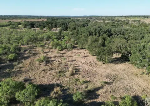 Hunting Land with Live Oaks