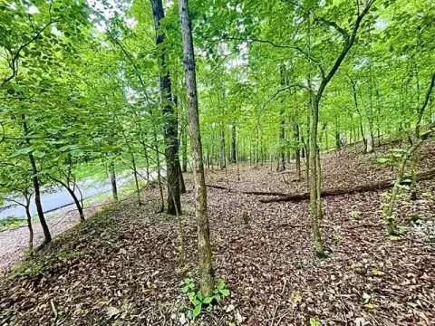 Residential Land Near River