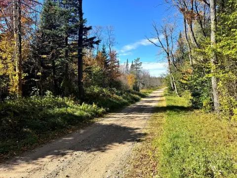 Wooded Recreational Land with Pond
