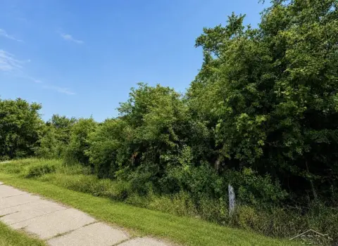 Wooded Industrial Land