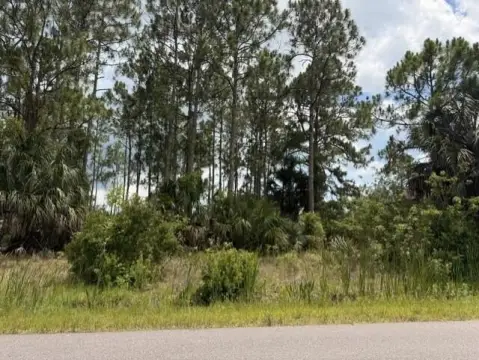 Vacant Lot in Palm Bay