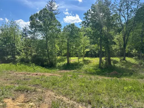 Unrestricted Land Near Dale Hollow