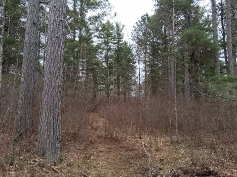 Recreational Land Near Tomahawk River