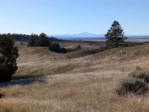 Agricultural Land with Existing Trailer