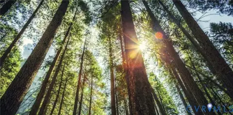 50 Acres Wooded Land, Powhatan