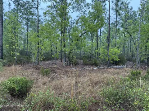 Wooded Recreation Land Parcel
