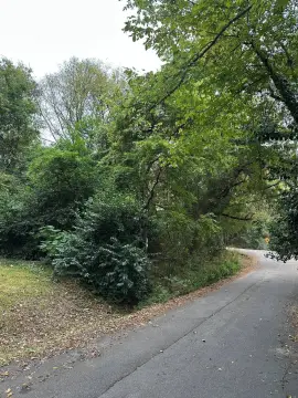 Vacant Land in Birmingham, AL
