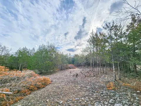 Land Near Pomme de Terre
