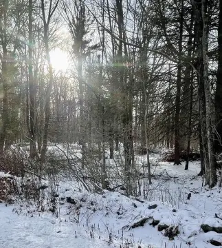9.9 Acres in Tolland, MA