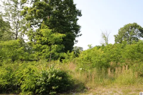 Residential Land in Gilbertsville, KY