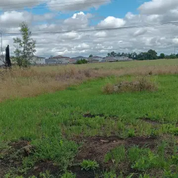 Agricultural Land With Rezoning Option