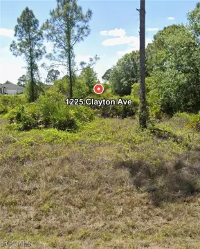 Lehigh Acres Vacant Land