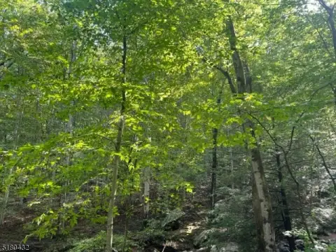 Undeveloped Land in Mine Hill