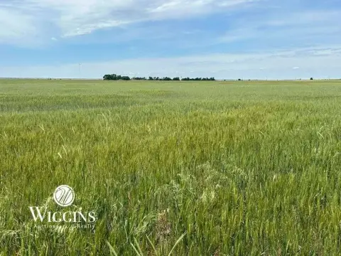 Productive Cropland Auction - Hitchcock, OK