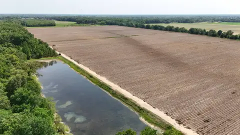 Farmland and Recreational Land in Winnsboro