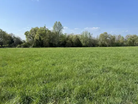 42 Acres of Pasture Land