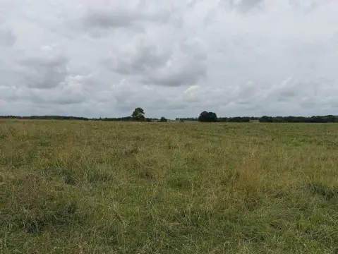 Country Acreage Lot with Road Access