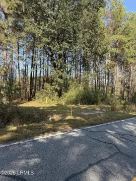 Wooded Lot Near Downtown
