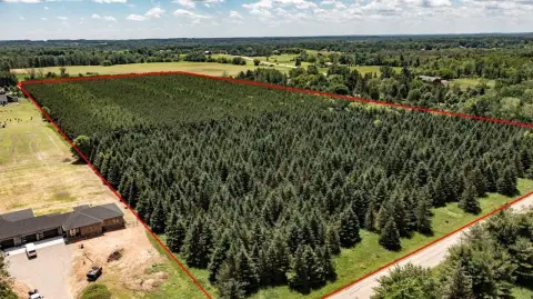 Wooded Recreation Land Parcel