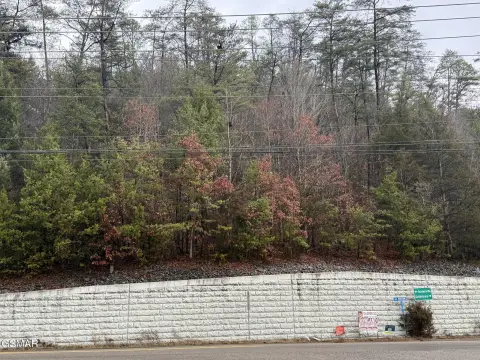 Undeveloped Land in Sevierville, TN