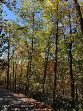 Gatlinburg Land in Arts Community