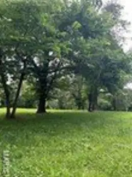 Residential Land in Steelville, MO