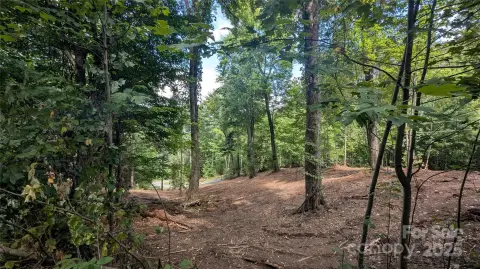 Waynesville Land For Sale