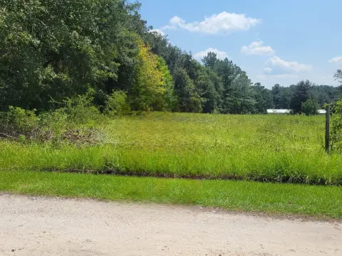 Land For Sale in Florida