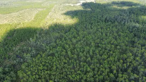 Hunting Land Near Bergman Road