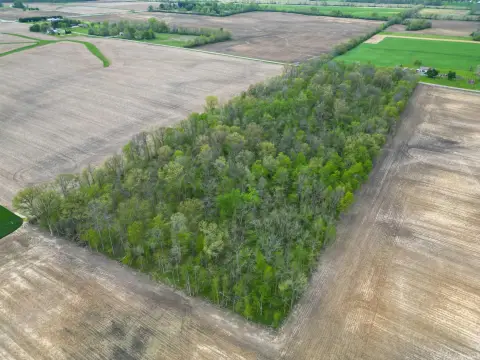 LaFontaine Wooded Land Parcel