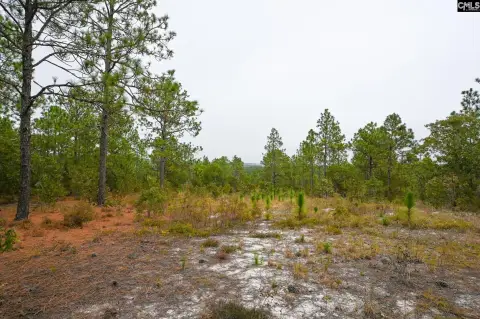 5-Acre Land with Views