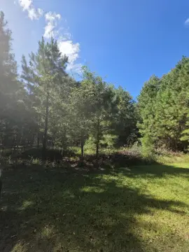 Residential Lot in Perkins, GA