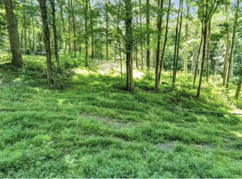 Lakefront Recreational Land Lots