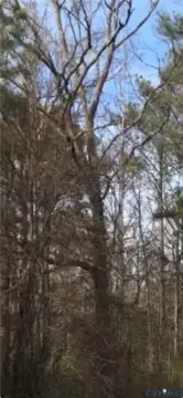 Petersburg Land Near Fort Lee