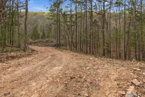 Recreational Hunting Land Acreage