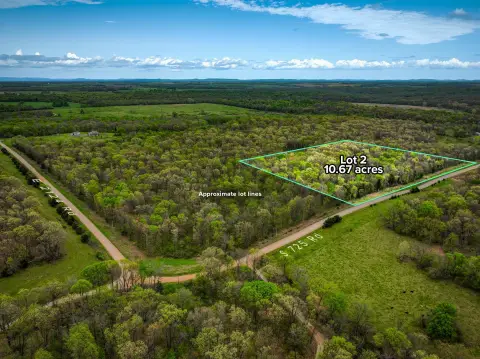 Timber Hunting Tract with Build Potential