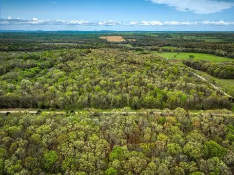 Wooded Hunting Tract with Power