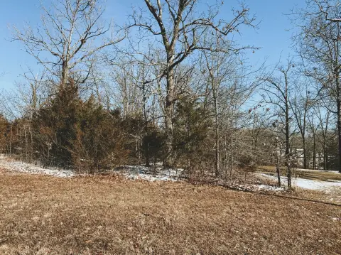 Land For Sale, West Plains