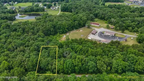 Crossville, TN Wooded Lot