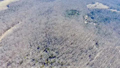 Unrestricted Ozarks Land with Creek