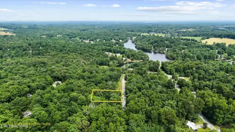 Crossville, TN Wooded Lot