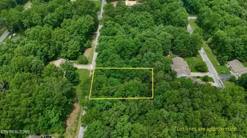 Crossville Land in Lake Tansi