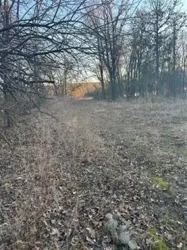 Land Near Kiamichi River