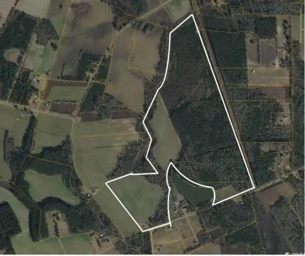 Wooded Commercial Land