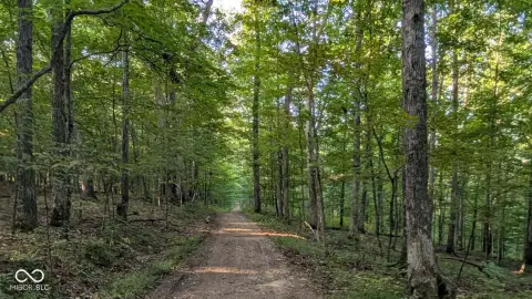 Wooded Recreational Land