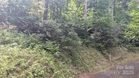 Residential Land in Waynesville, NC