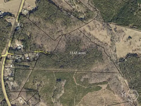 Hunting Land with Standing Timber